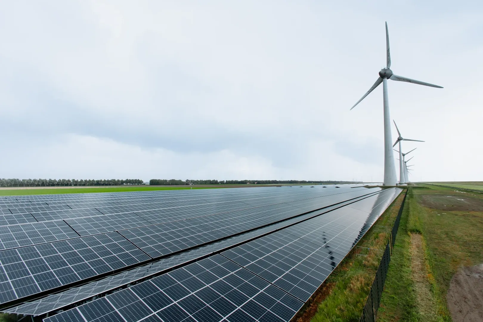 Solar Park Noordoostpolder has supplied clean electricity to Rockwool and VW Kraftwerk GmbH while easing grid congestion in the Netherlands.