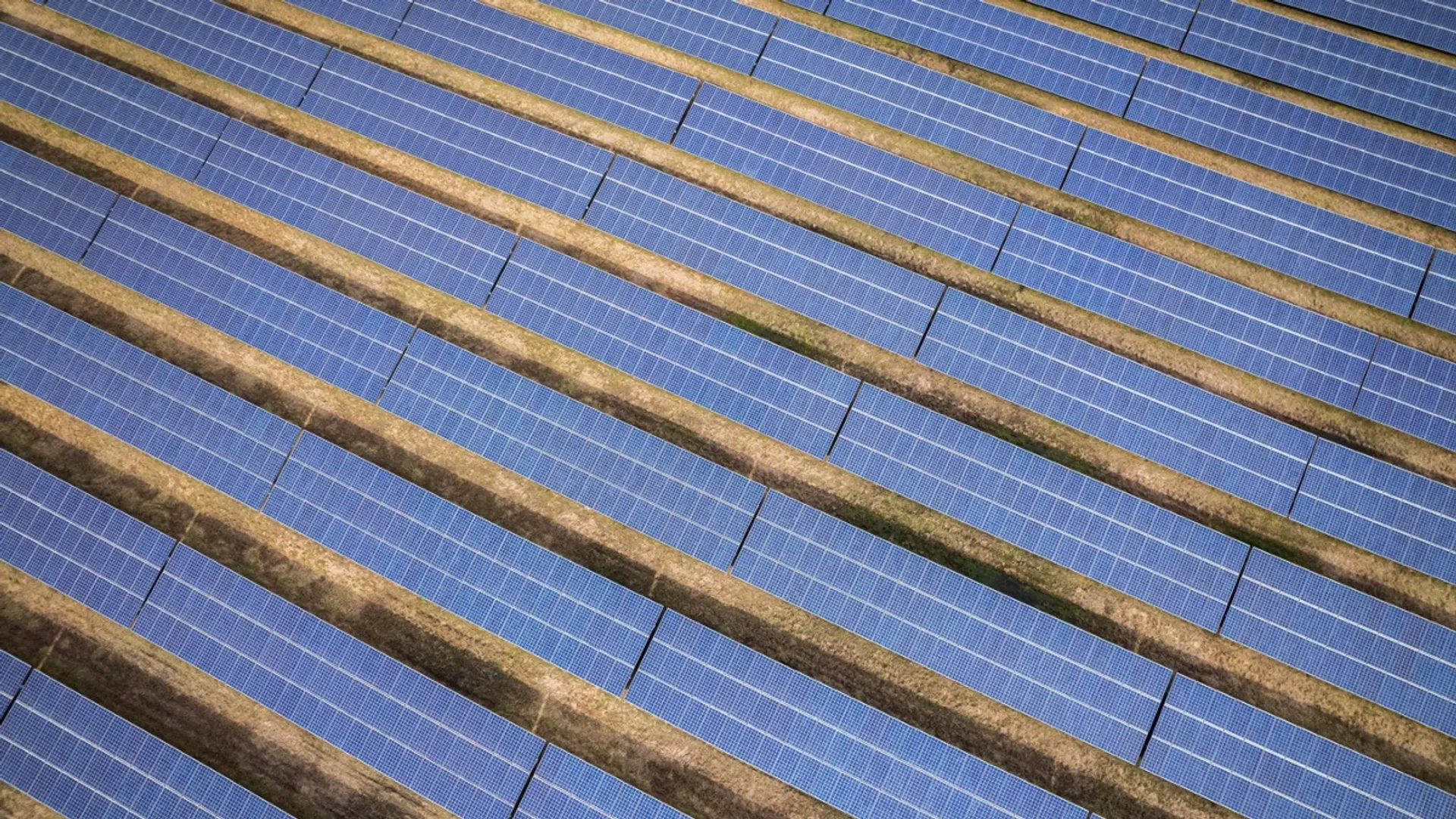 SECI will sign 25-year PPAs with distribution licensees for firm renewable supply.