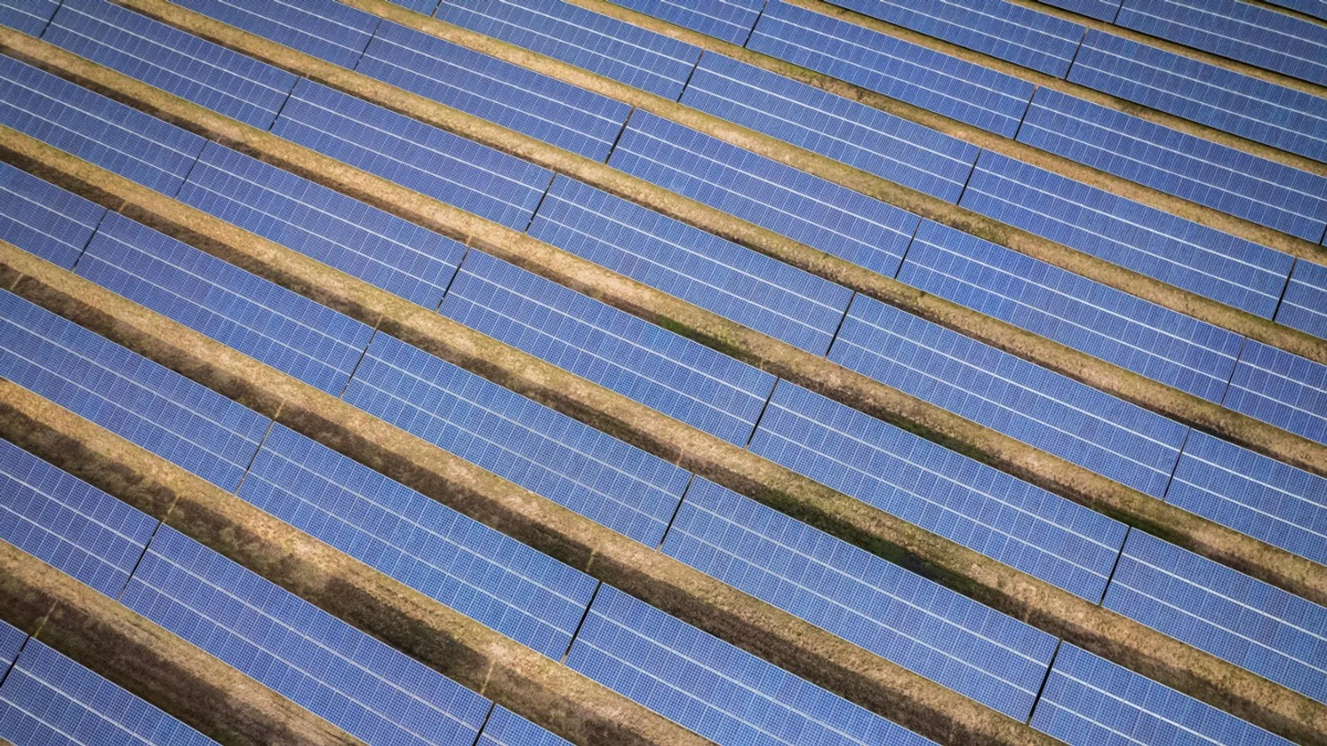 The 100 MW solar venture has expanded Dilip Buildcon’s portfolio into large-scale renewables.