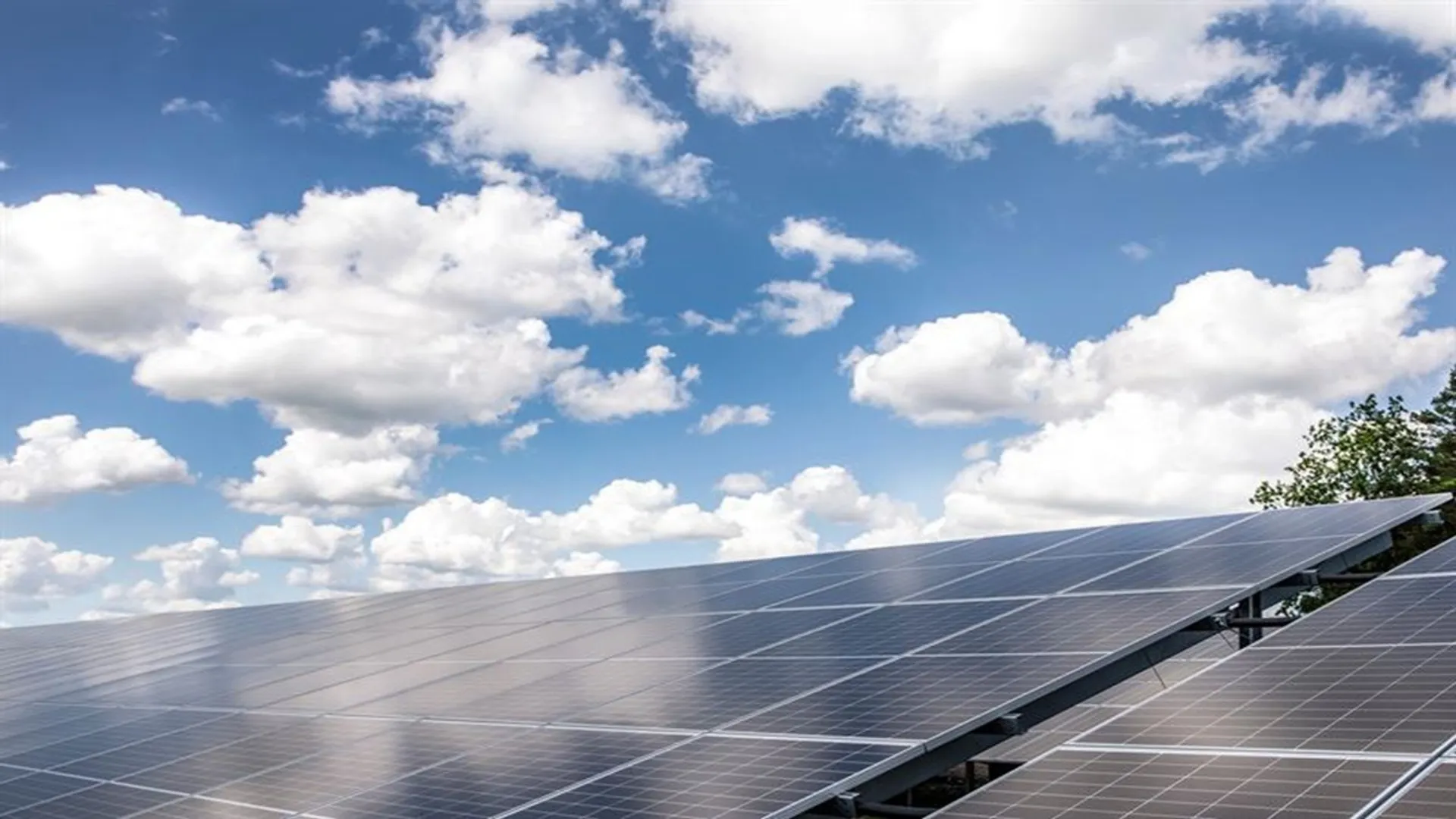 Alight’s Loviisa solar project has used AI and trackers to enhance energy output and agricultural efficiency.