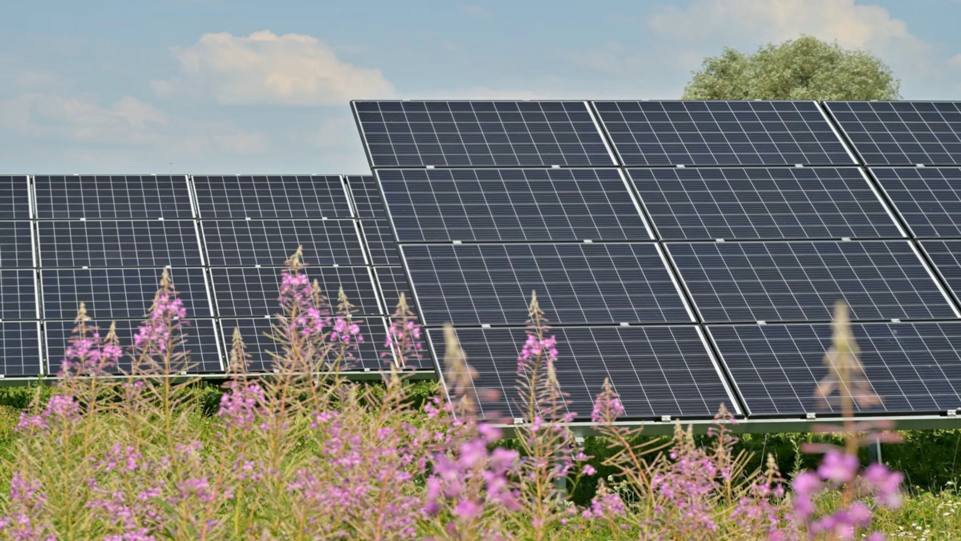 The Klotze Solar Park has supported R.Power Renewables’ wider Western Europe growth plans.