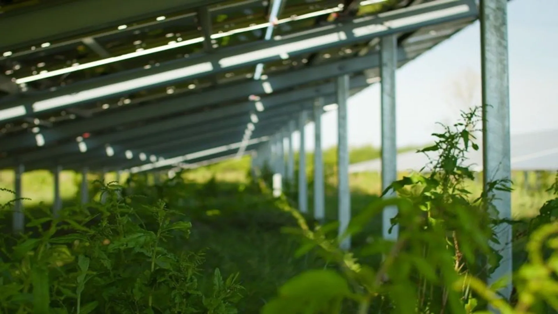 Helios Renewable Energy Project had secured planning consent and expanded Enso Energy’s portfolio.