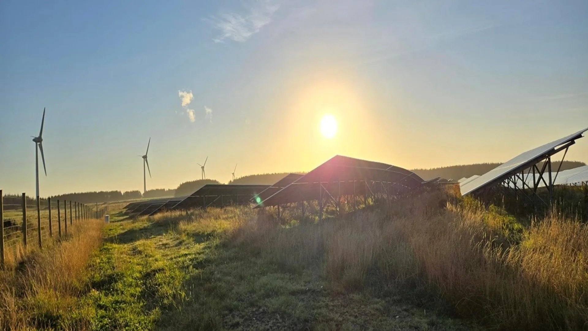Burcot Energy Park has included habitat features that support a targeted biodiversity gain.