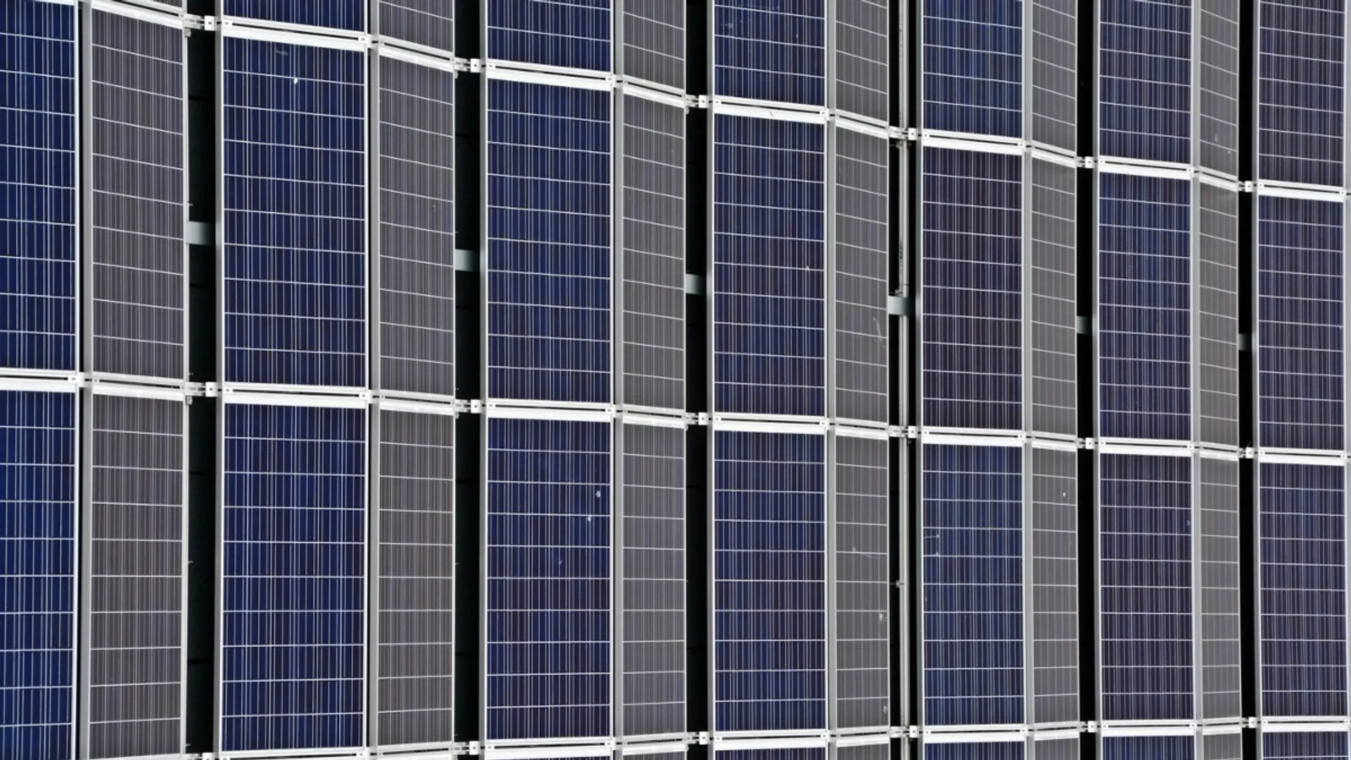 Impact-study findings have underscored risks tied to construction-phase land clearing and habitat disruption.