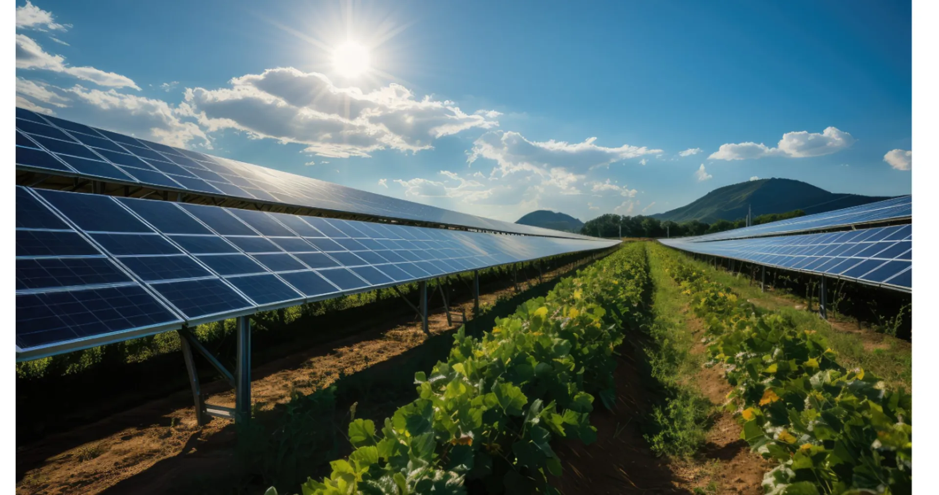 The updated NEC framework has supported stronger risk controls across all managed funds.