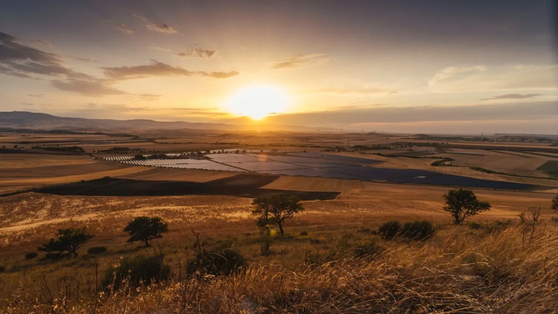 The Vizzini project has been combining agriculture with solar generation in Sicily.