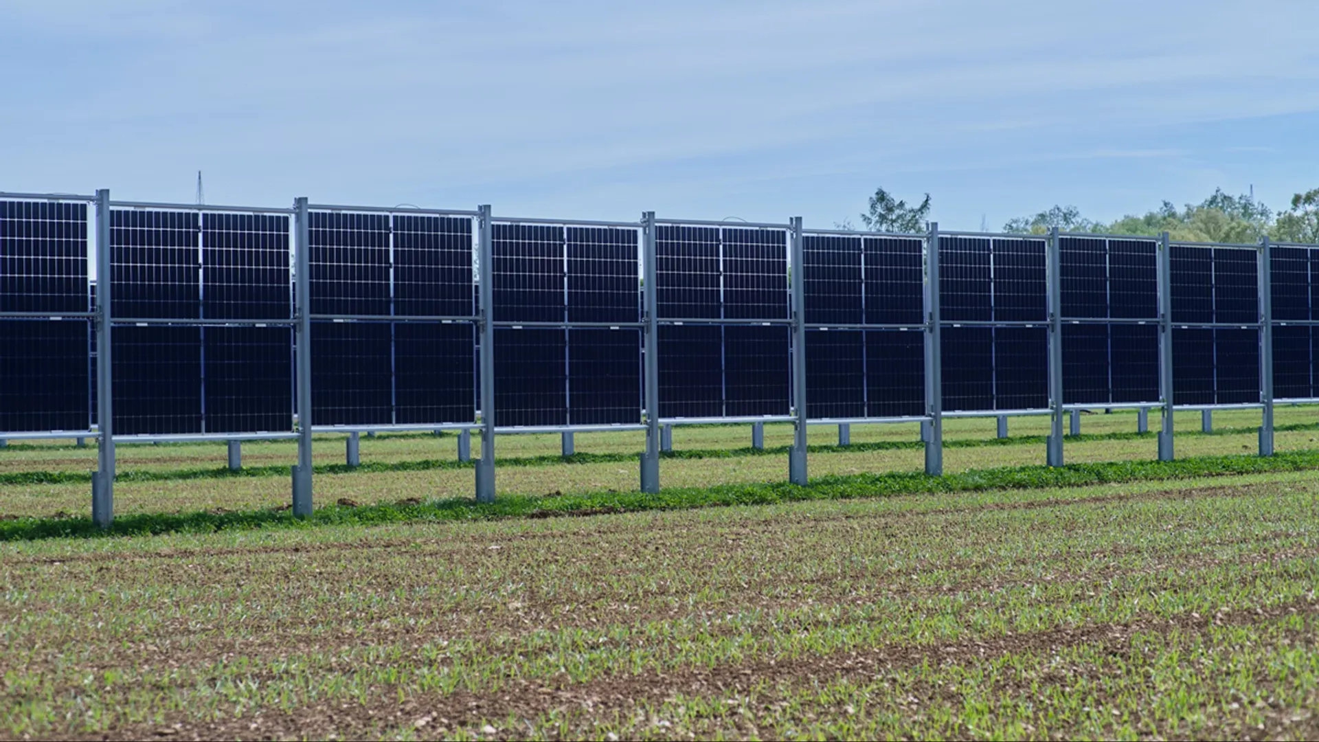 Washington’s review has allowed Carriger Solar to proceed with required development steps.