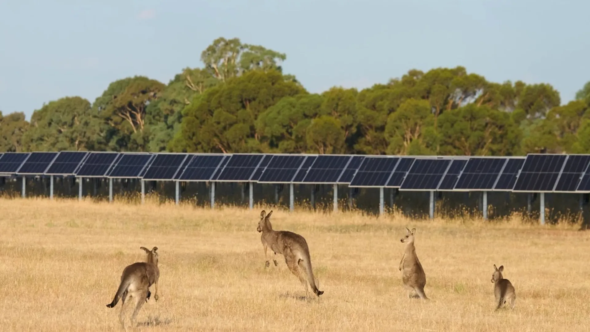 Of 1.2 GW secured, multiple assets have included solar and co-located battery storage.