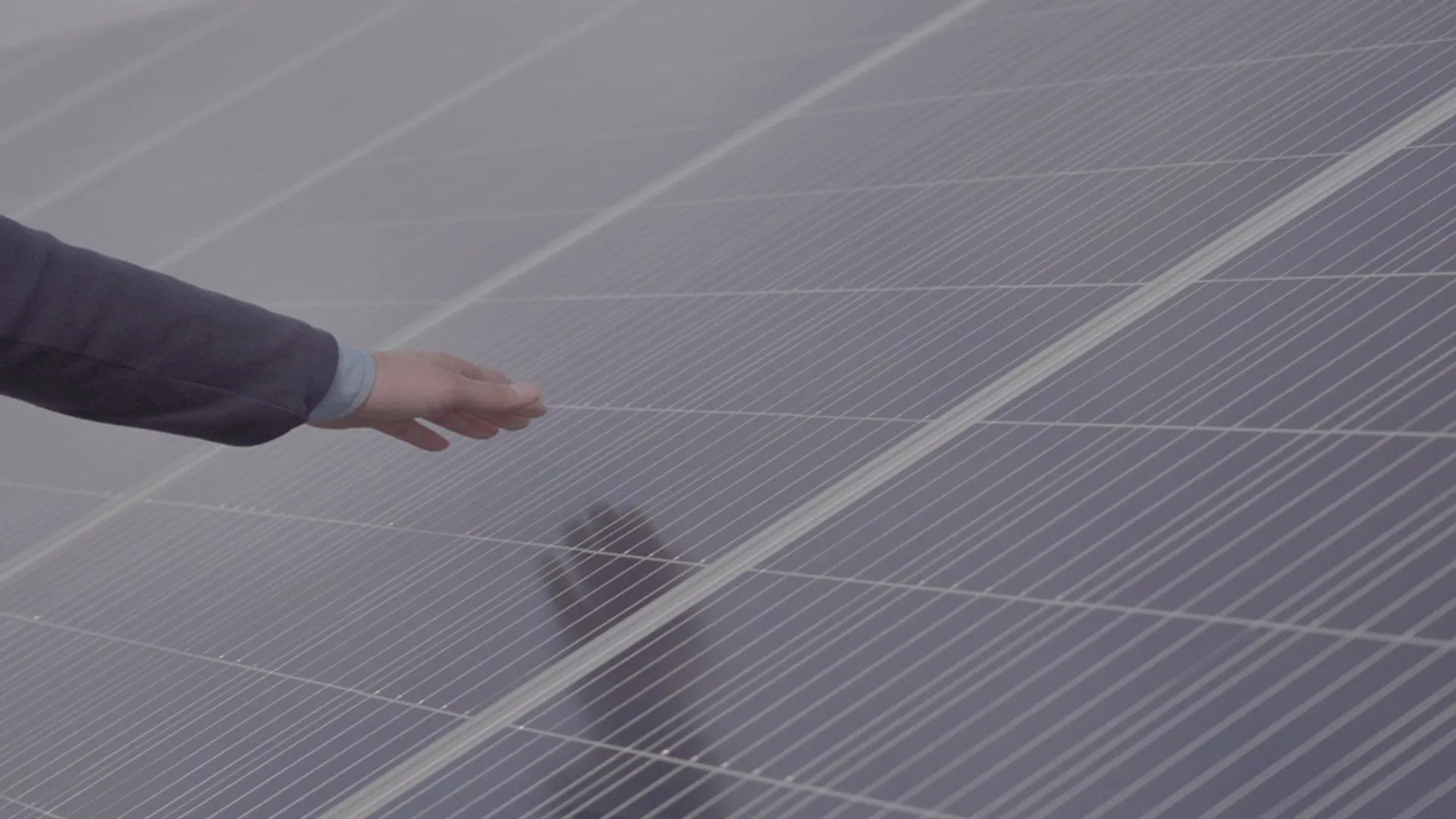 The project is projected to offset about 1.6 million tonnes of CO₂ emissions each year.