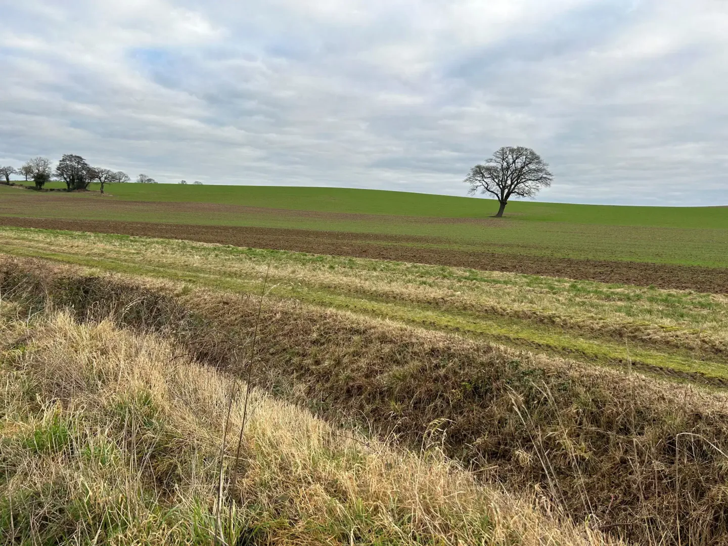 Fillongley Solar Farm was expected to power over 16,500 homes and avoid about 10,000 t of CO₂ annually.