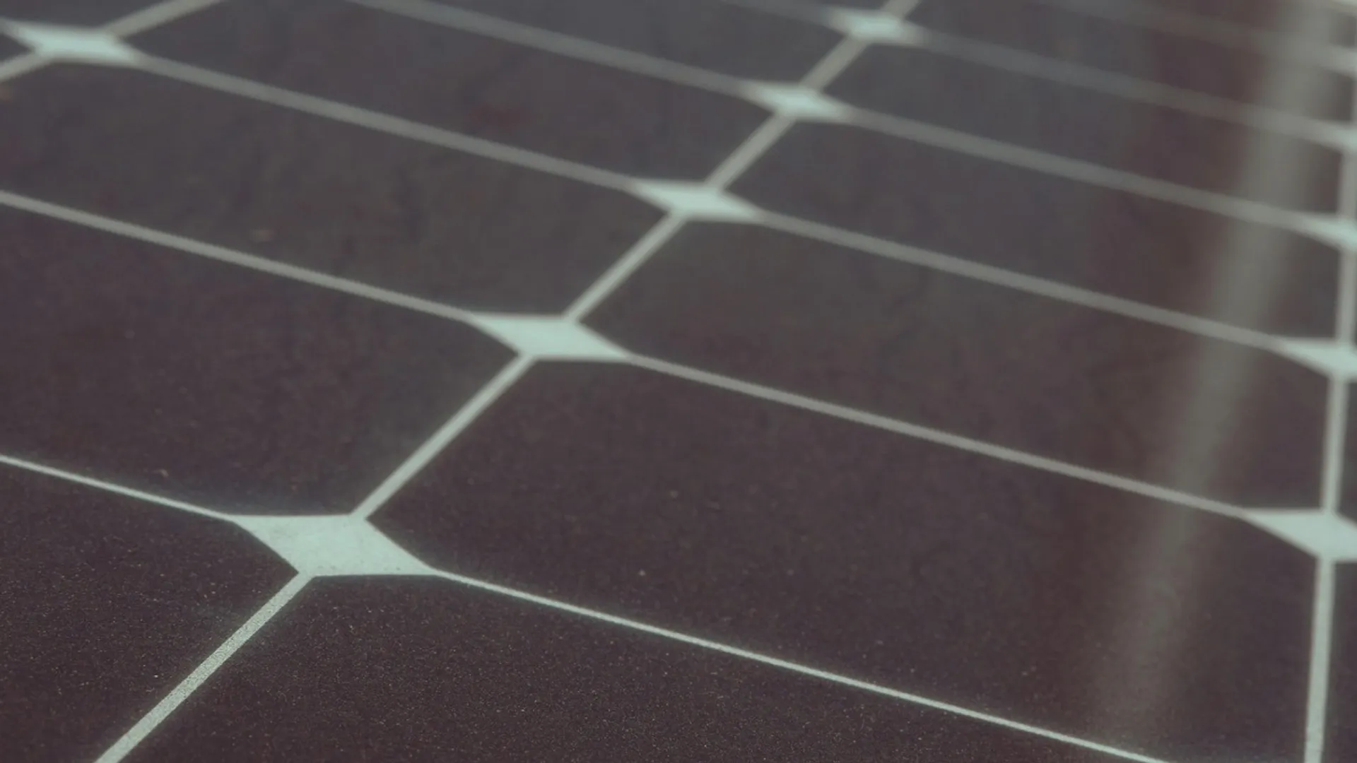 Judicial review is pending before the Gujarat High Court following writ petitions filed.