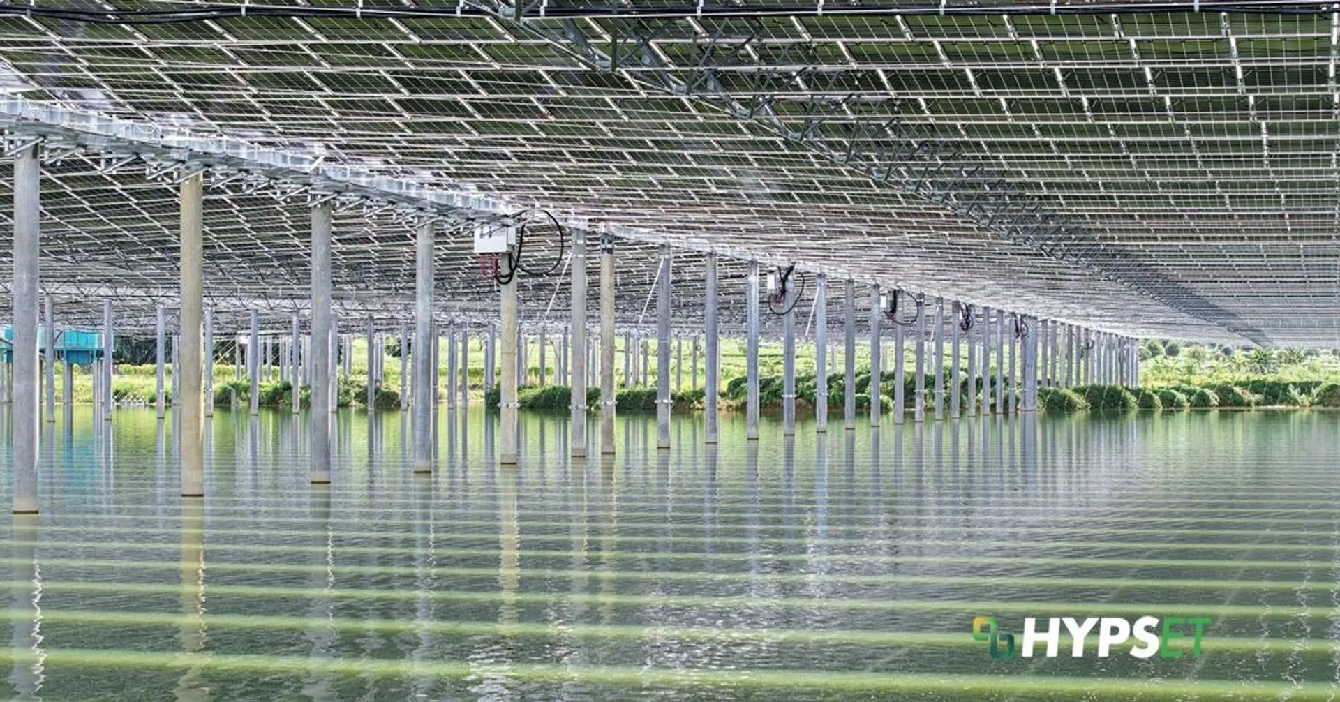 The Qingyuan fishery-solar project has enabled elevated PV deployment without reducing active aquaculture water areas.