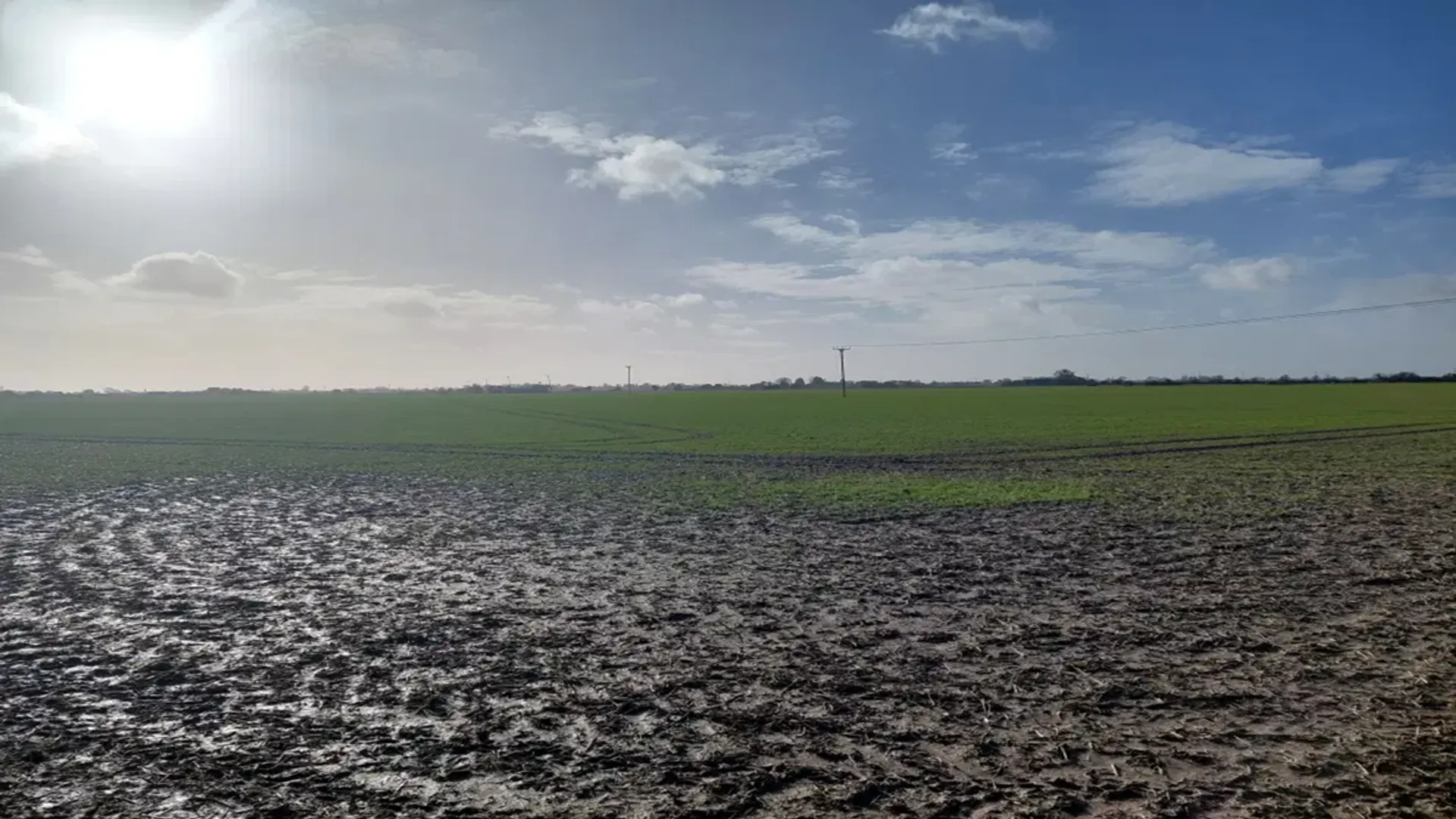 The Marsh solar project has generated 28,000 MWh annually, supplying over 10,500 UK homes.