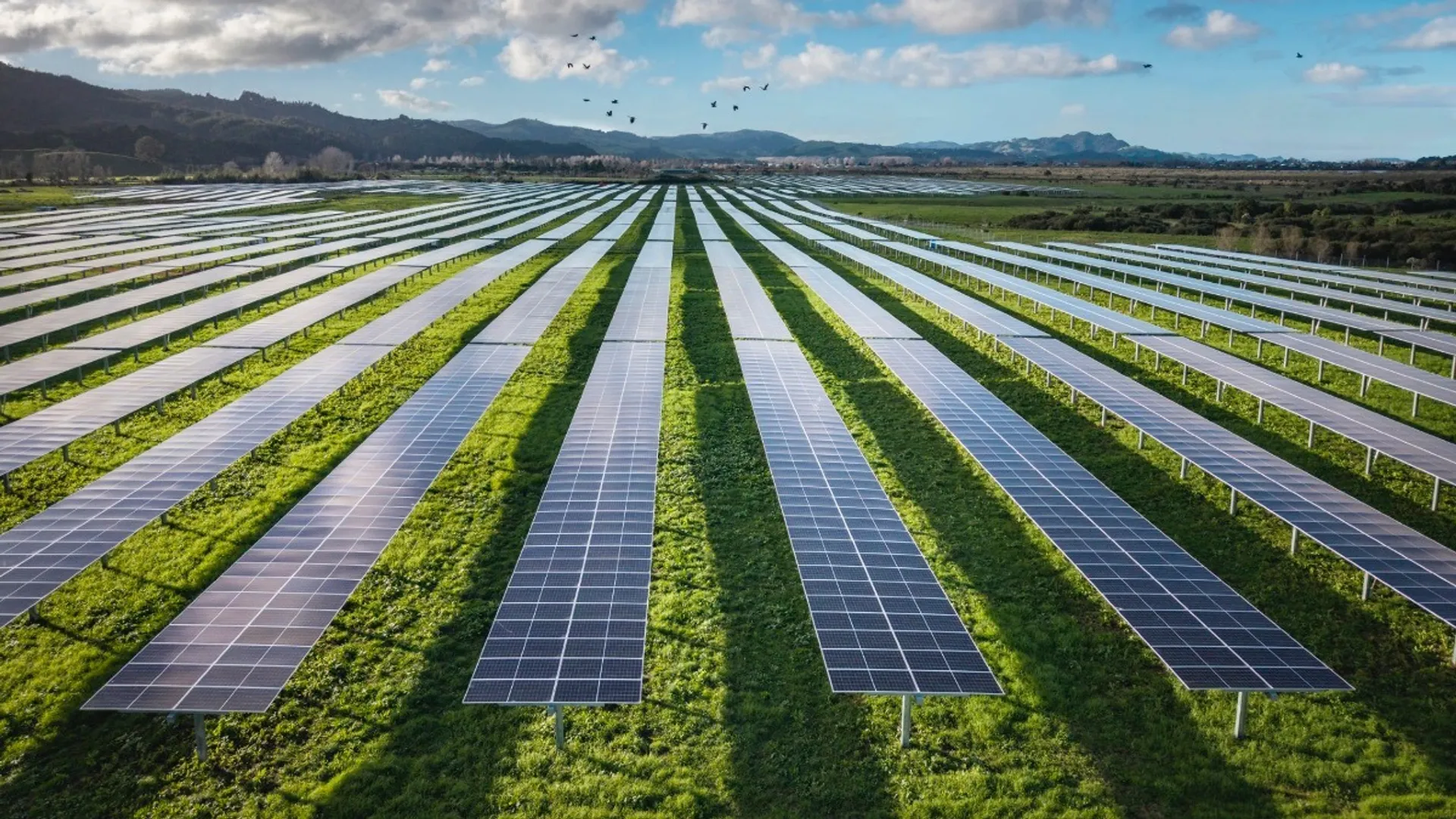 The electricity supplied to Hall’s facilities will be backed by Whitianga and Clandeboye solar farms, along with a PV farm yet to be announced.