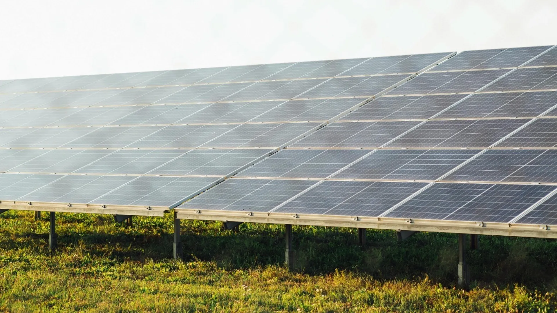 The project covers 114 hectares and is expected to generate electricity for more than 9,400 homes.