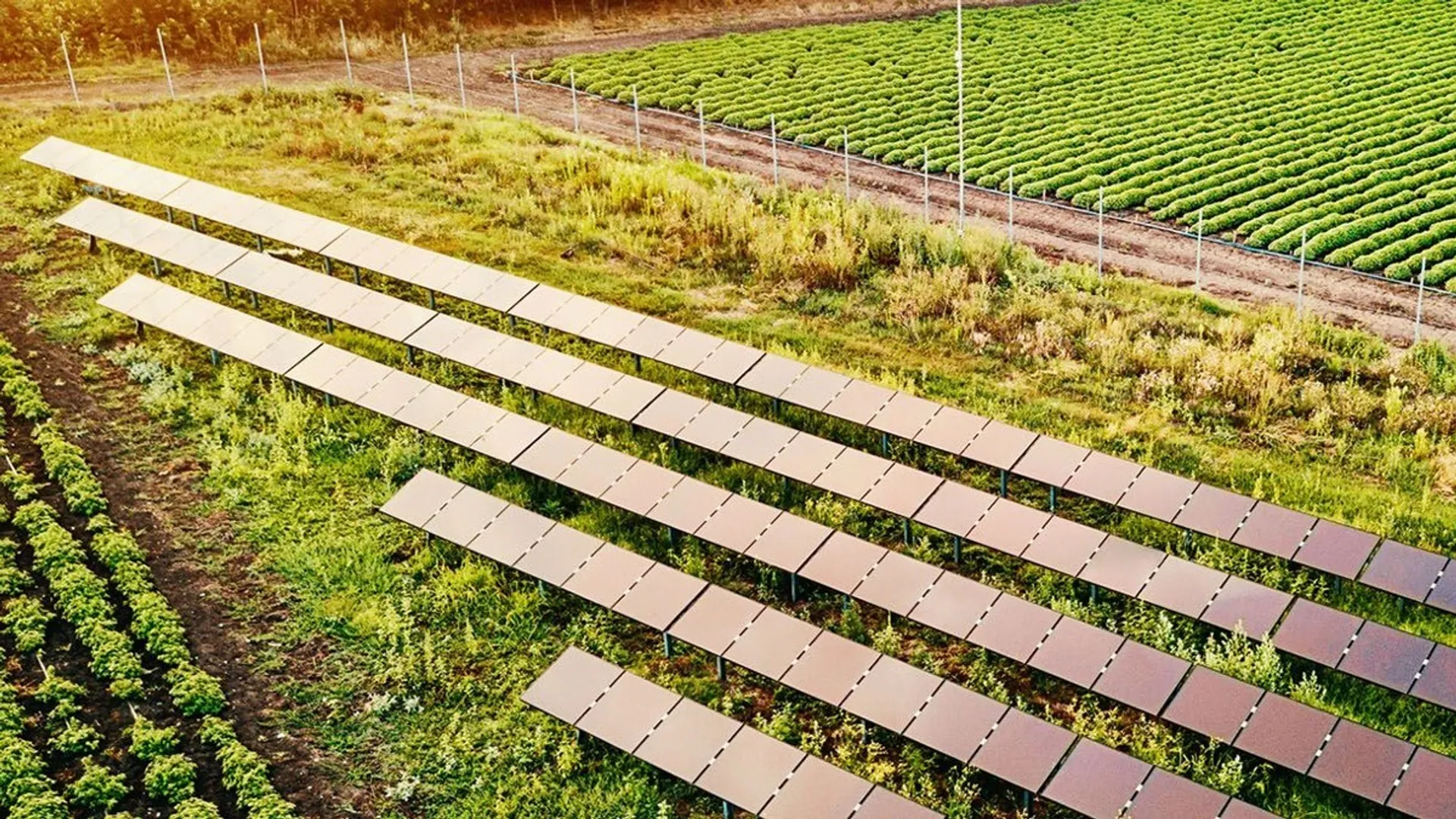 The project forms part of a broader 366 MW AC renewable energy portfolio contracted with Microsoft.