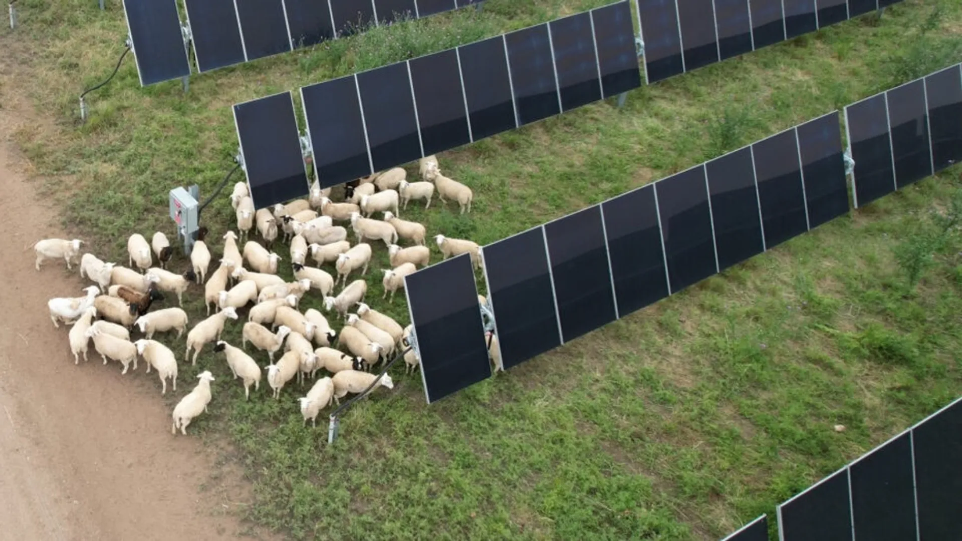 The judgment allows the Harvey Solar Project to proceed under previously granted regulatory clearance.