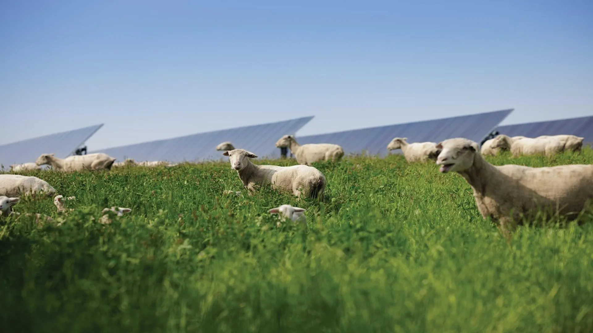 Hett Moor Solar Farm has been planned to supply electricity to 16,300 homes each year.