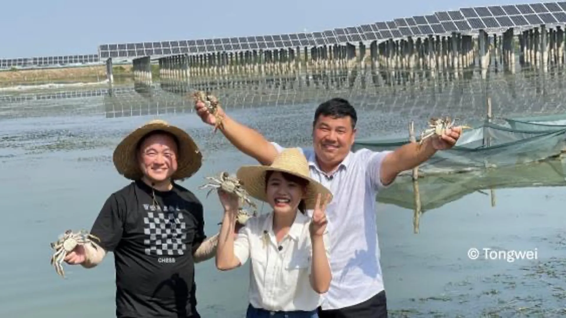 Floating PV panels have reduced pond temperatures by 3–5°C during summer months.