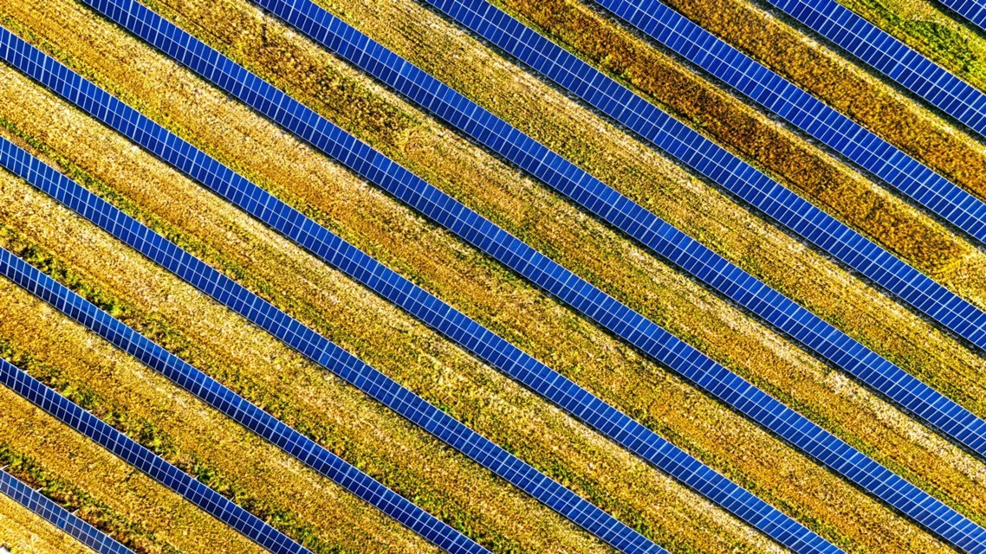 The Thailand projects are expected to reduce 191,550 tons of CO2 annually.