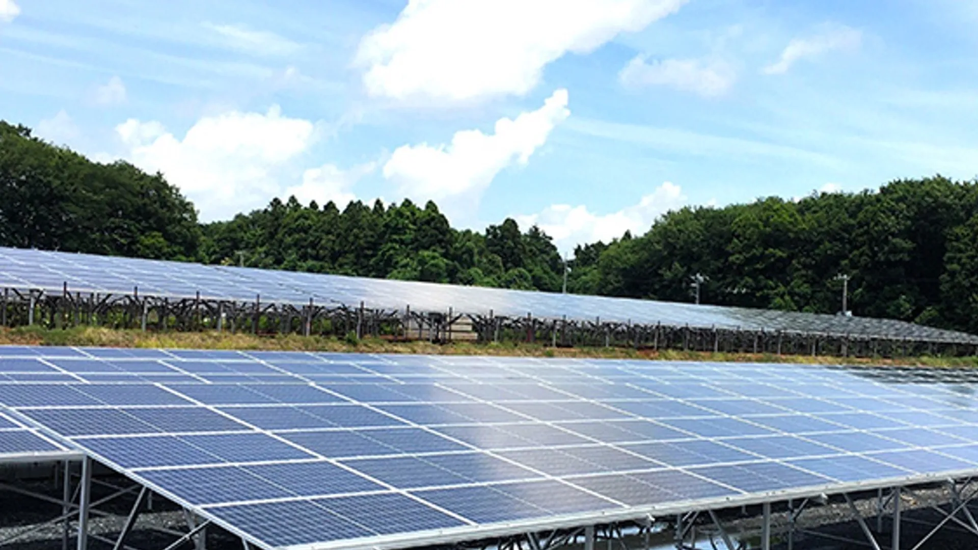 The VPPA covers 18 MW of solar capacity across 16 domestic power plants.