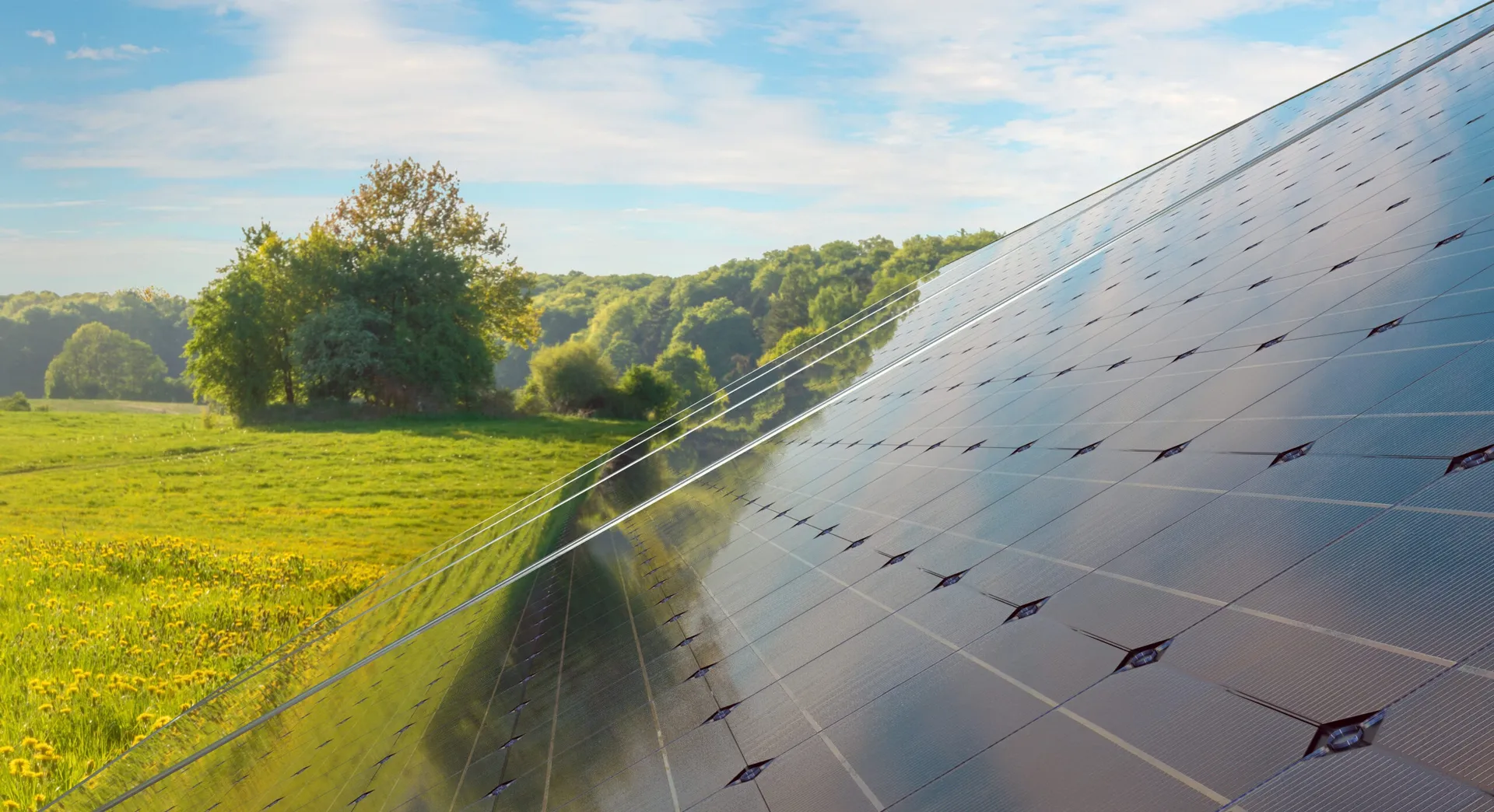 Fenwick Solar Farm received planning approval and was expected to power 75,000 homes annually.