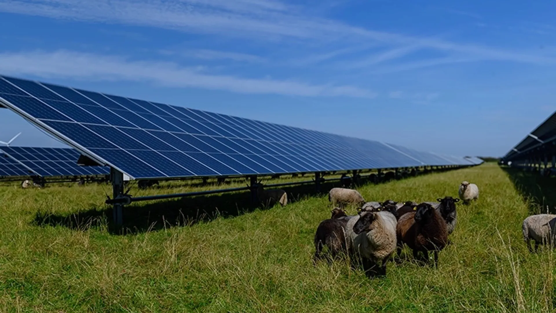 Savion has taken over interconnection and planning responsibilities while Hecate Energy remains involved in continued development activities.