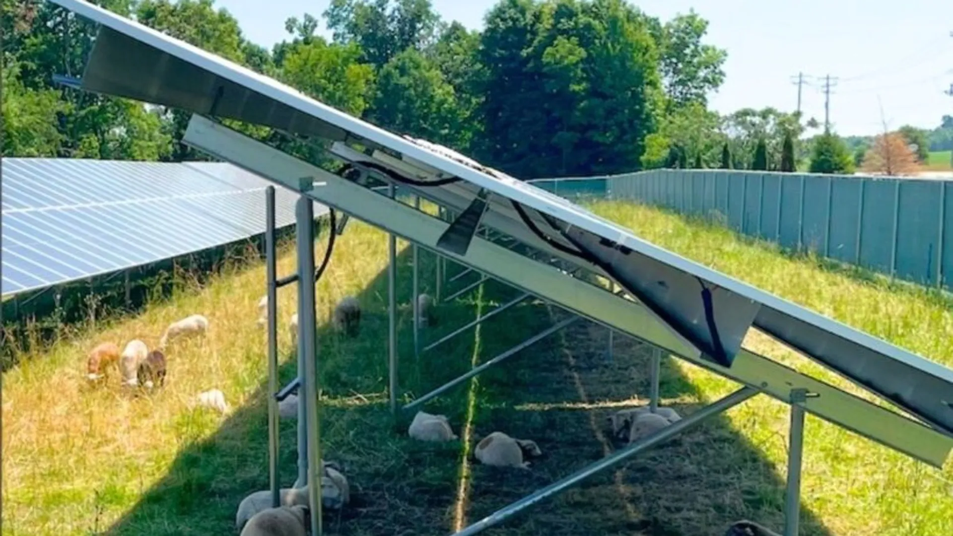 Encore Renewable Energy has retained long-term ownership of the 13 MW DC agrivoltaic community solar portfolio.