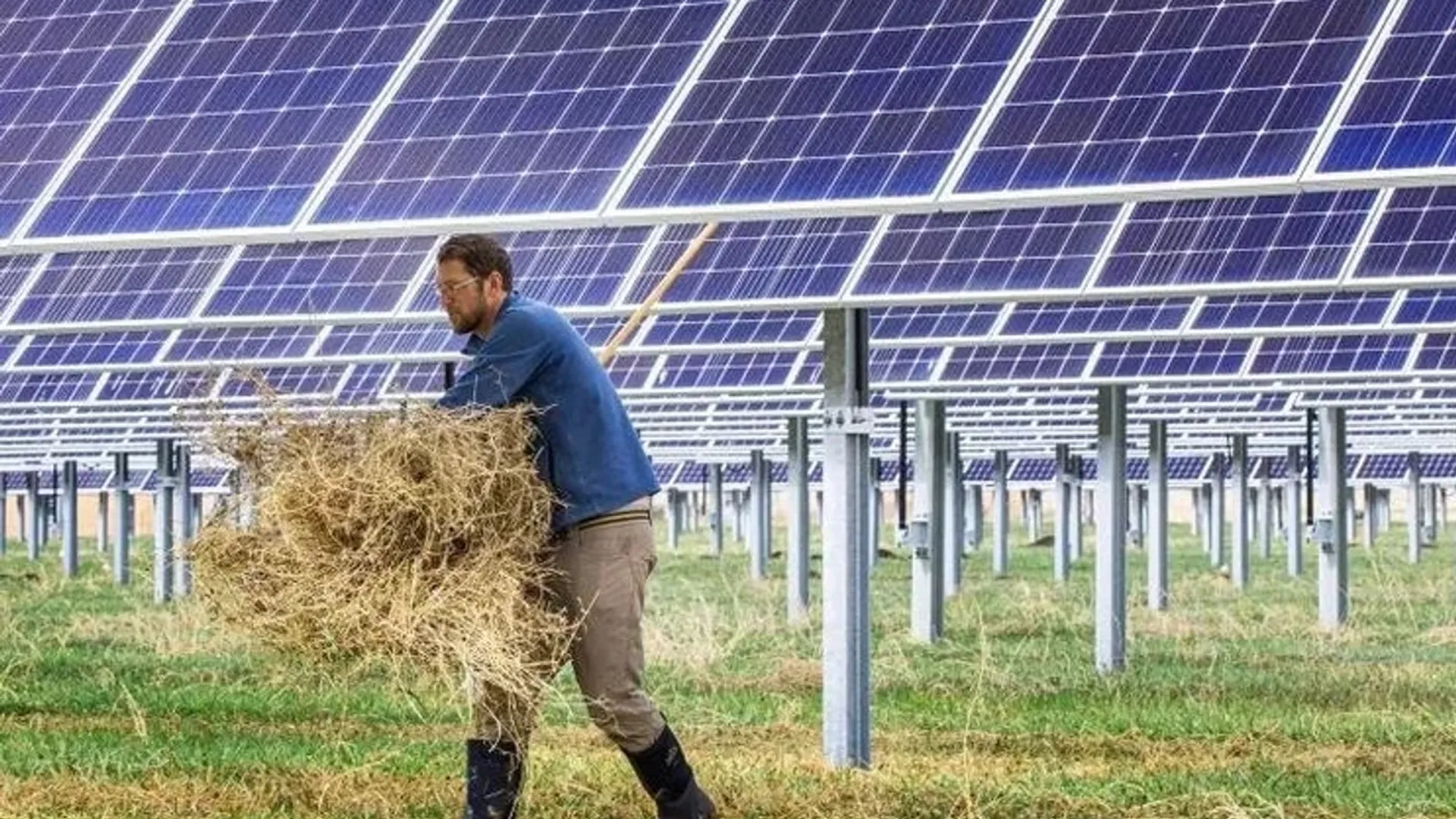 Lightstar has reported that the One Big Beautiful Bill Act has removed key loan guarantees for renewable energy.