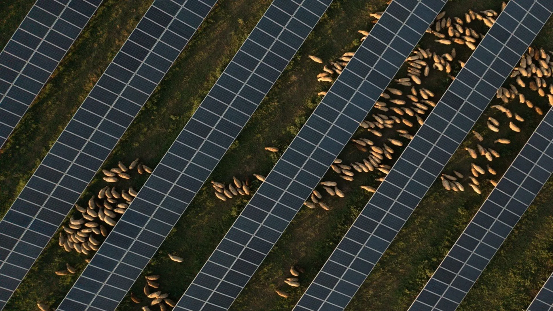 Ogrezeni hybrid project planned with 761 MWp PV and more than 1 GWh battery storage capacity.