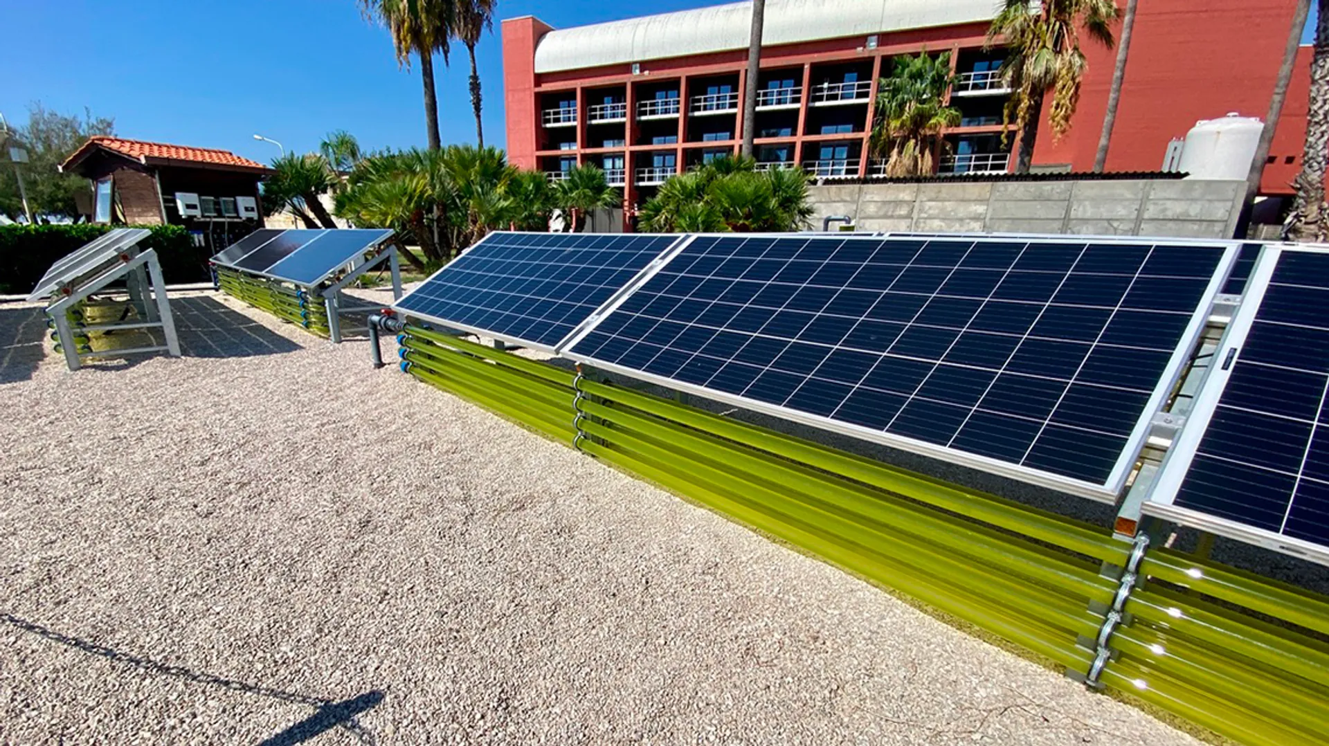 Italy's first Algovoltaic system unveiled