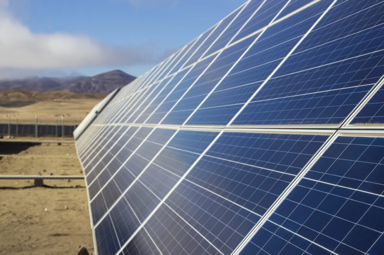 SUSI and BIWO collaborate for Chilean expansion