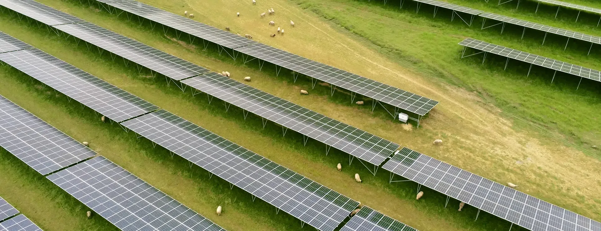 Neoen dominates CRE PPE2, secures full ownership in 4 PV projects