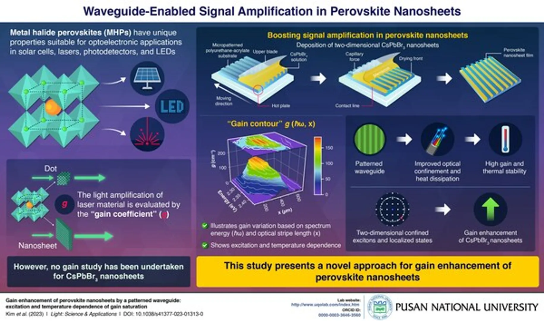 Novel gain analysis unlocks potential of Perovskite nanosheets