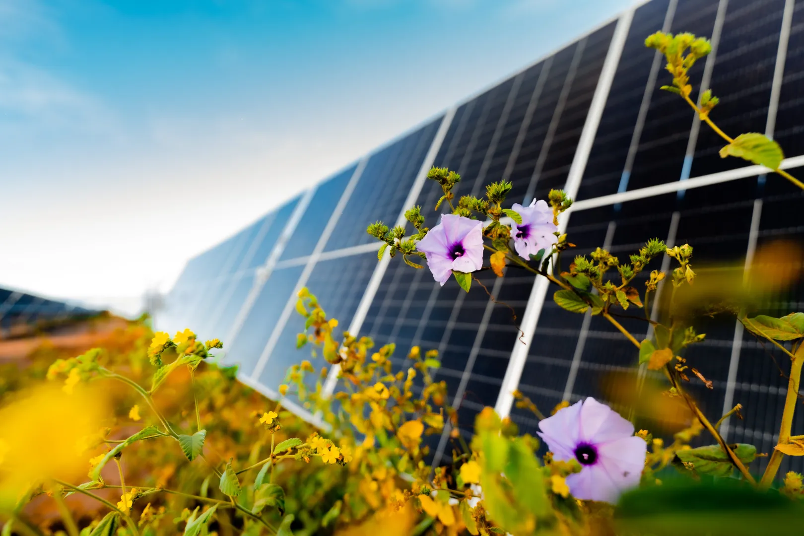 EOS Investment Management Group expands PV portfolio in Italy 