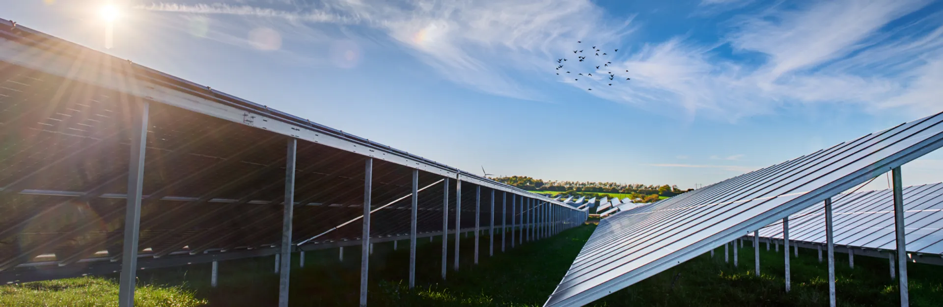 Nordic Solar acquires 40 MW solar park