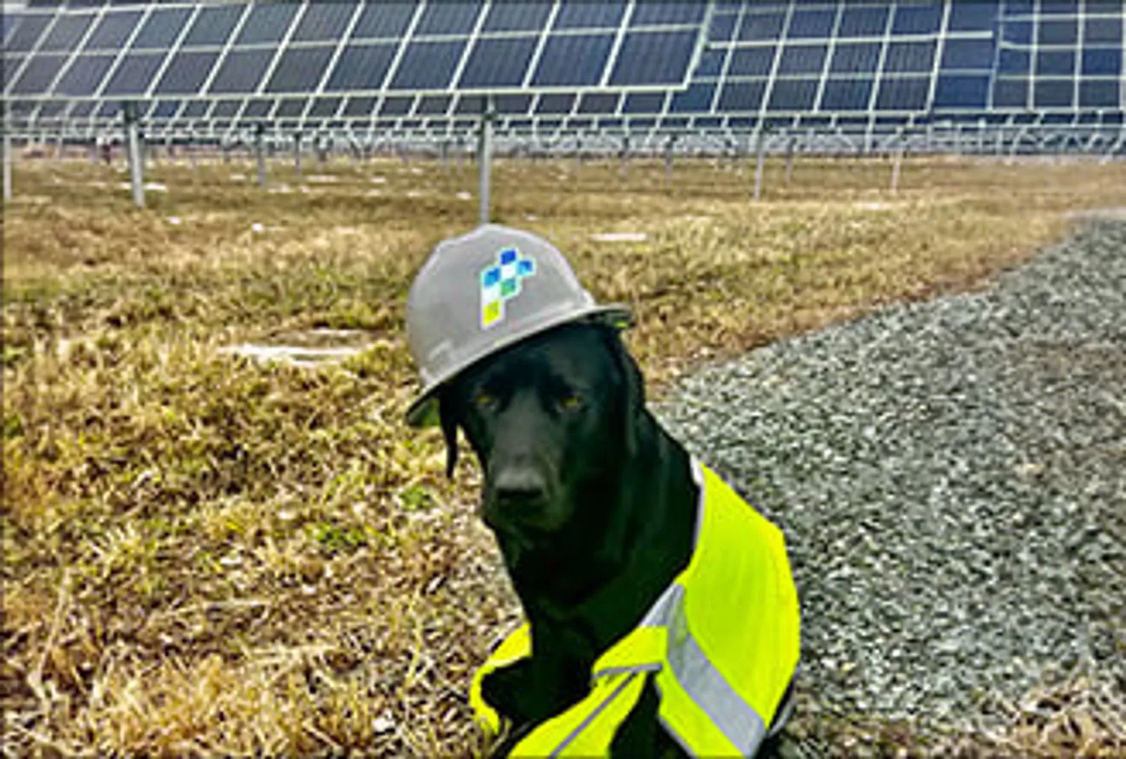 PureSky Energy acquires Maryland solar project