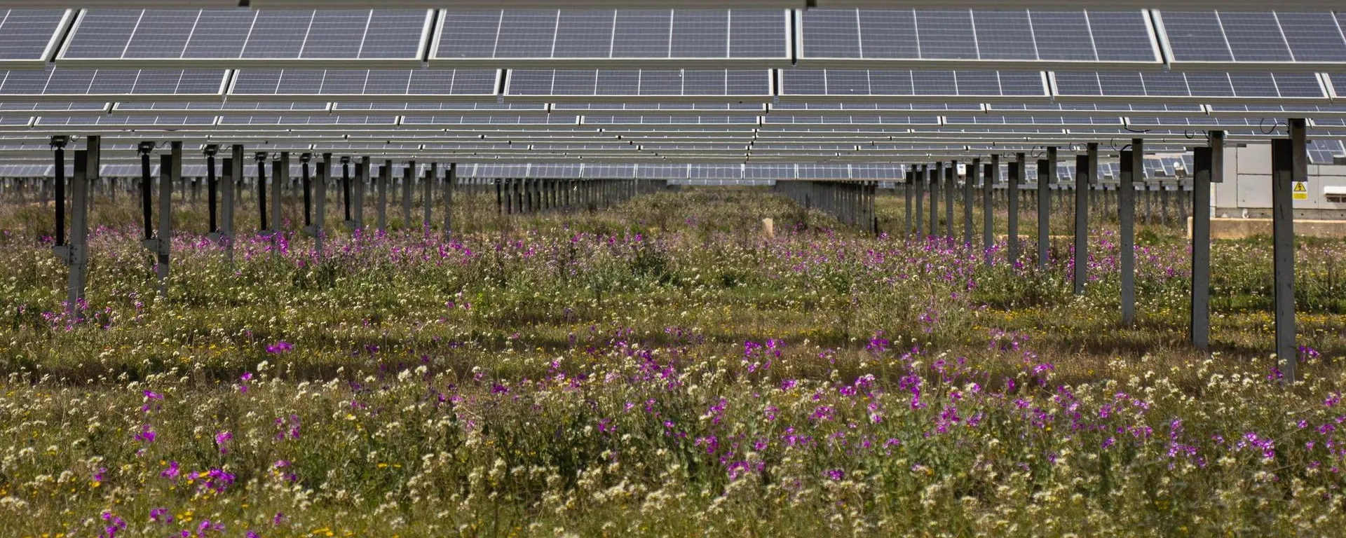 Ameresco Sunel to construct 560 MWp solar project in Greece