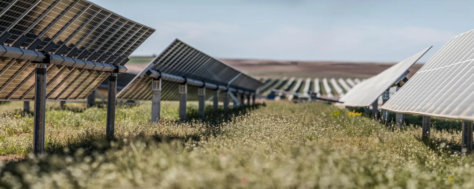 Lightsource bp secures financing for the 168MW New Zealand solar farm