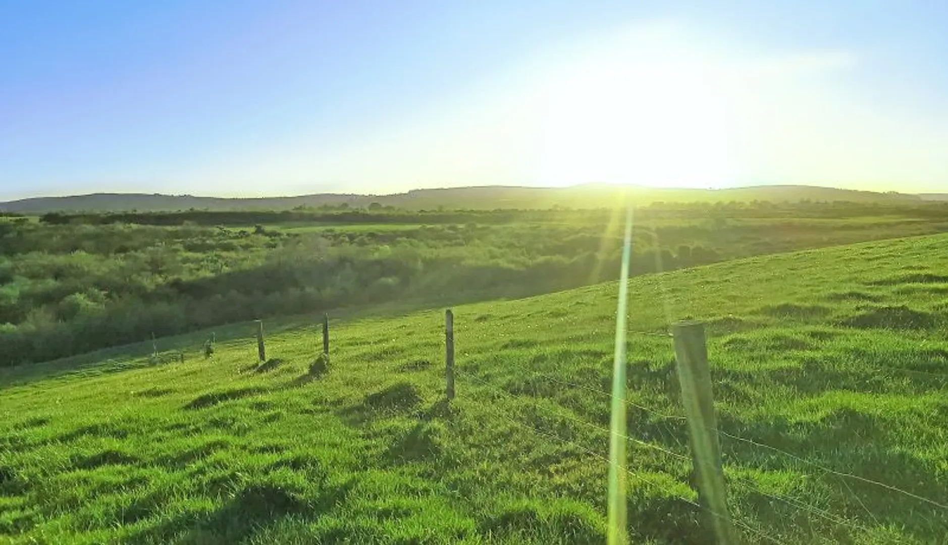 Neoen initiates 79 MW solar project in Ireland