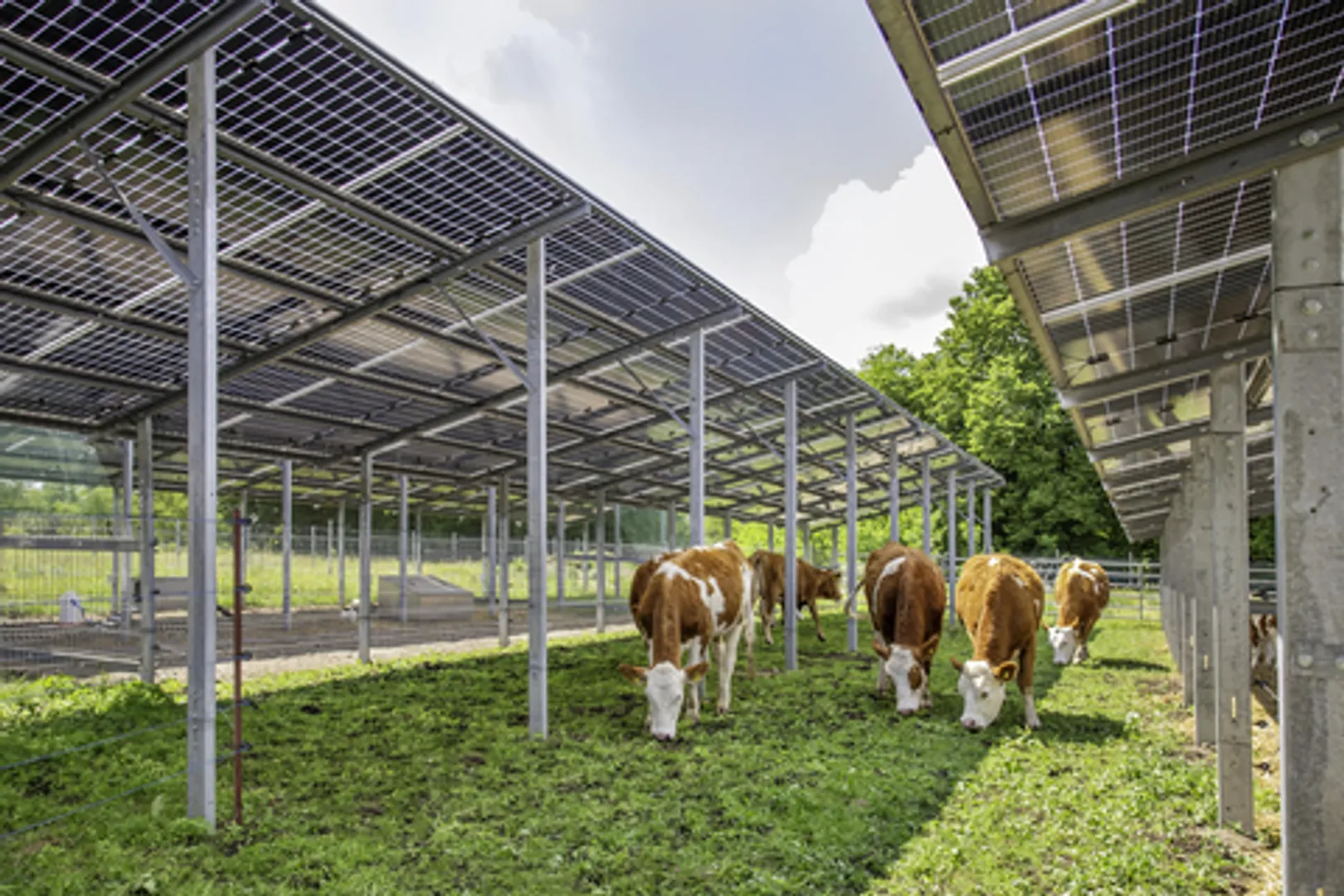 I Squared’s Cube Green Energy to acquire majority stake in Germany’s SUNfarming