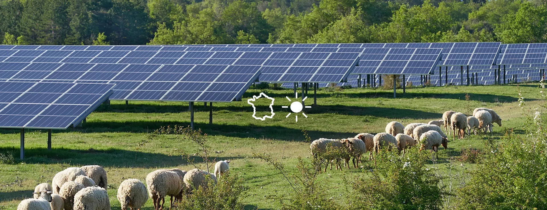 Neoen secures 164 MW PV and agrisolar projects in France