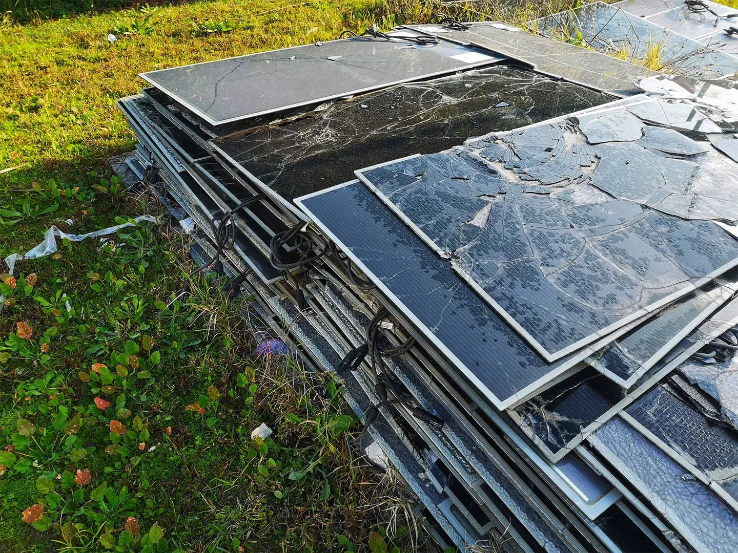 Georgia hosts 5 GW PV recycling facility by SOLARCYCLE