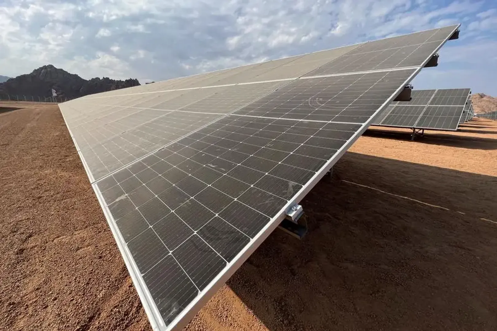 LONGi partners with Scatec, Masdar, and AMEA Power for 2.5 GW Egypt PV projects