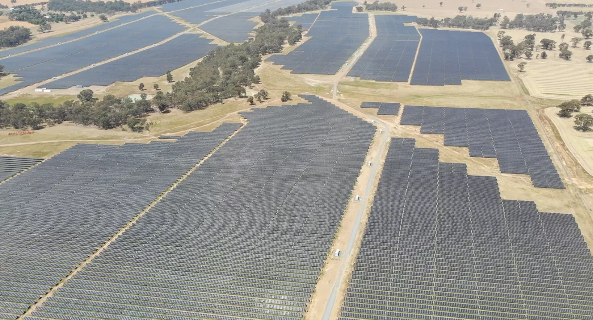 FRV Australia’s 353 MW Walla Walla solar farm operational