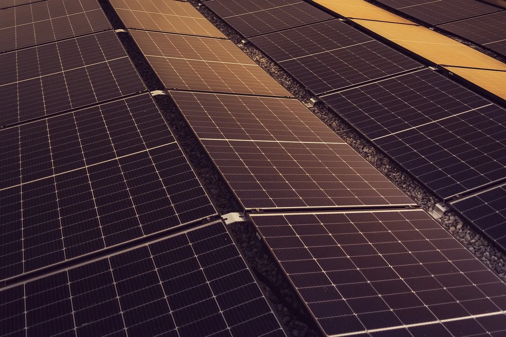 Waaree Energies secured 398 MW solar module projects in India