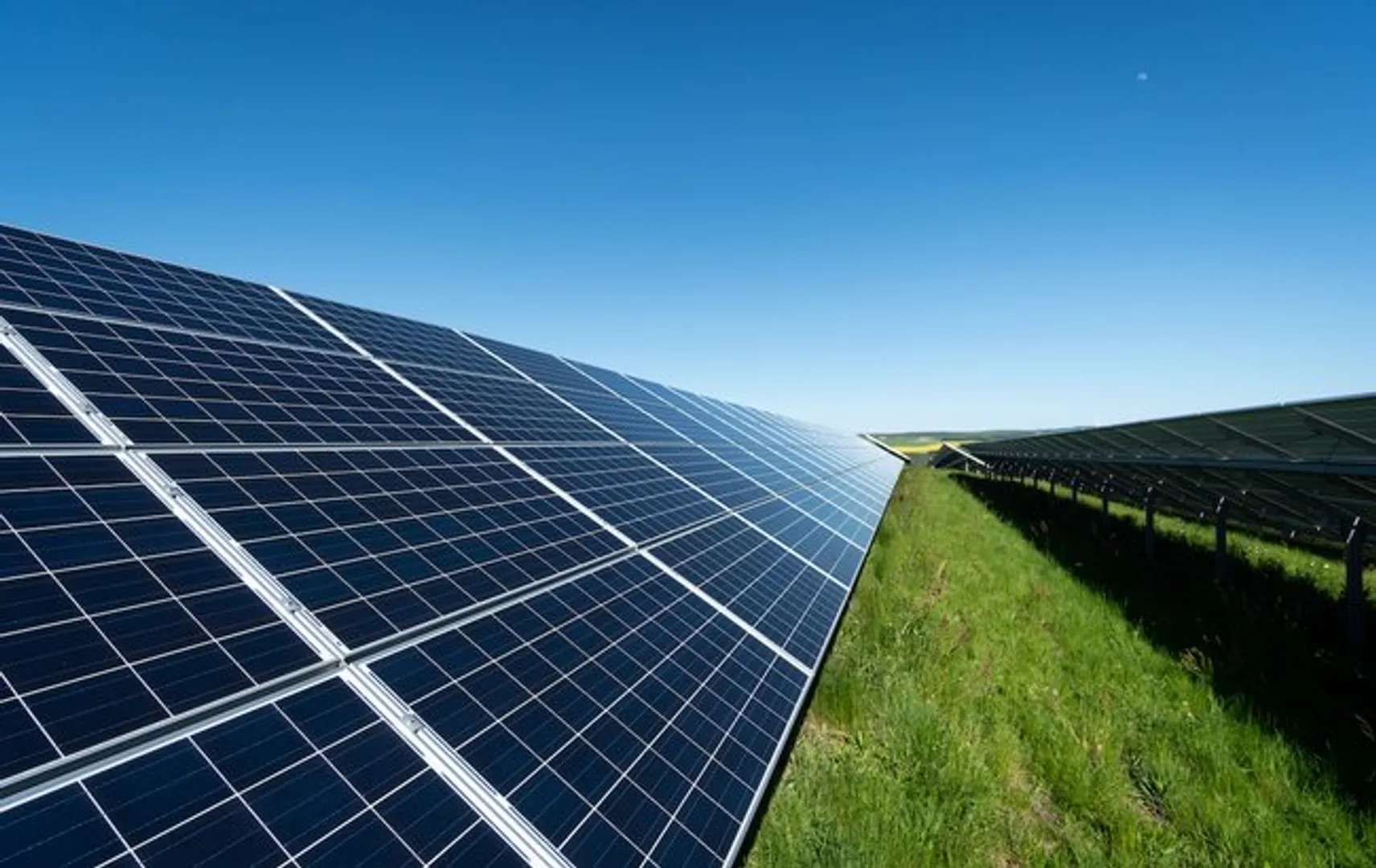 TPSolar transfers 88 MW Dutch PV portfolio to Blue Elephant Energy