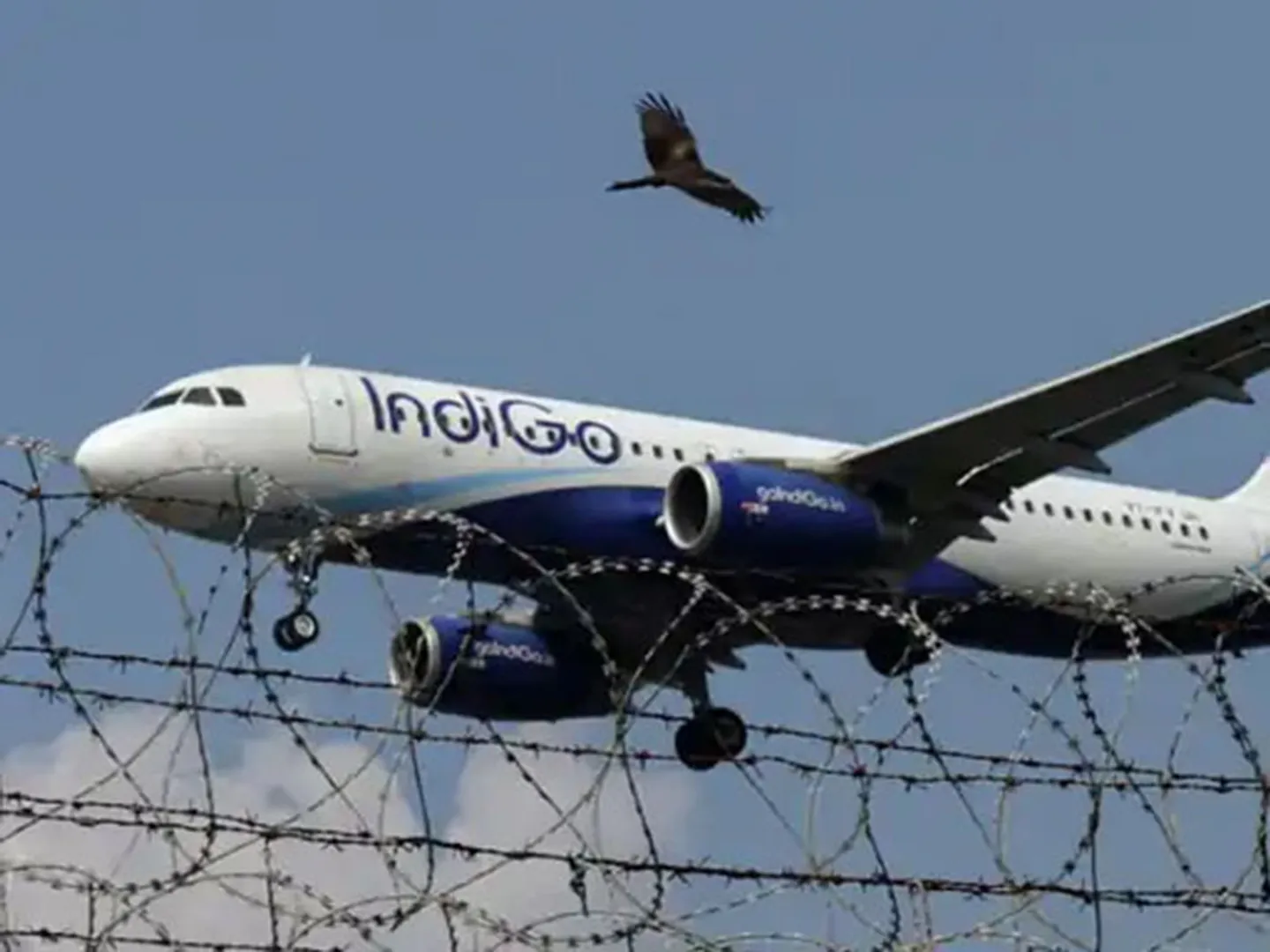 image-resize-color-correction-and-ai