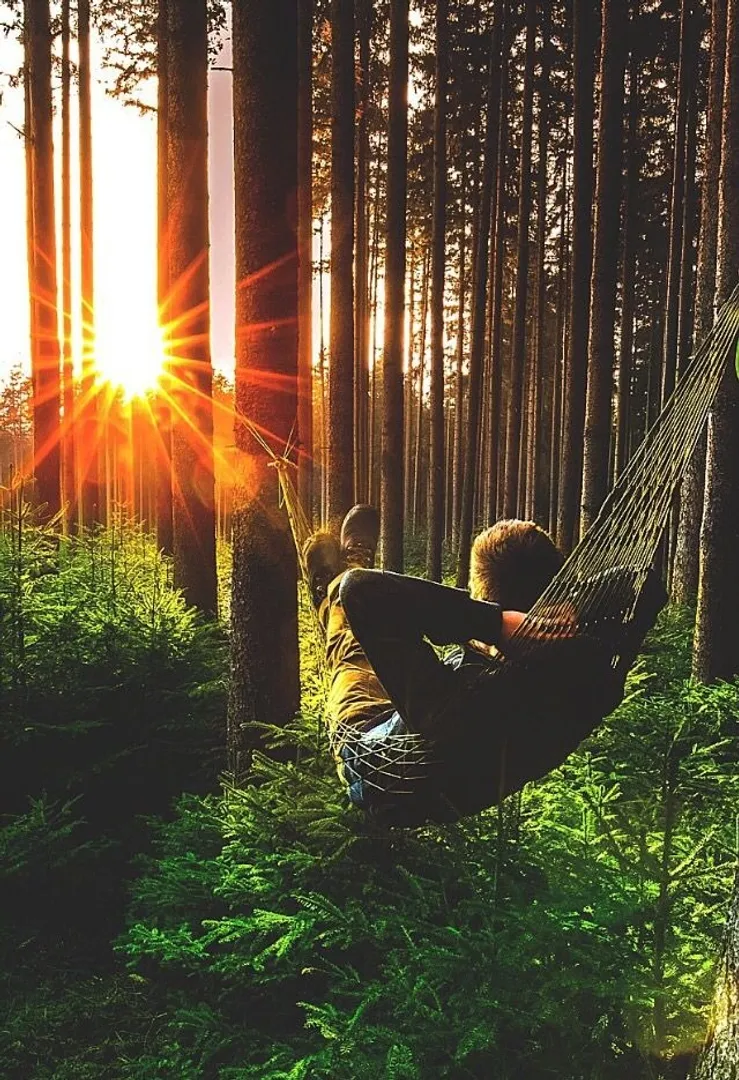 सर्दियों में विटामिन D क्यों घट जाता है? जानें आहार, जीवनशैली और जरूरी सावधानियों के आसान तरीके