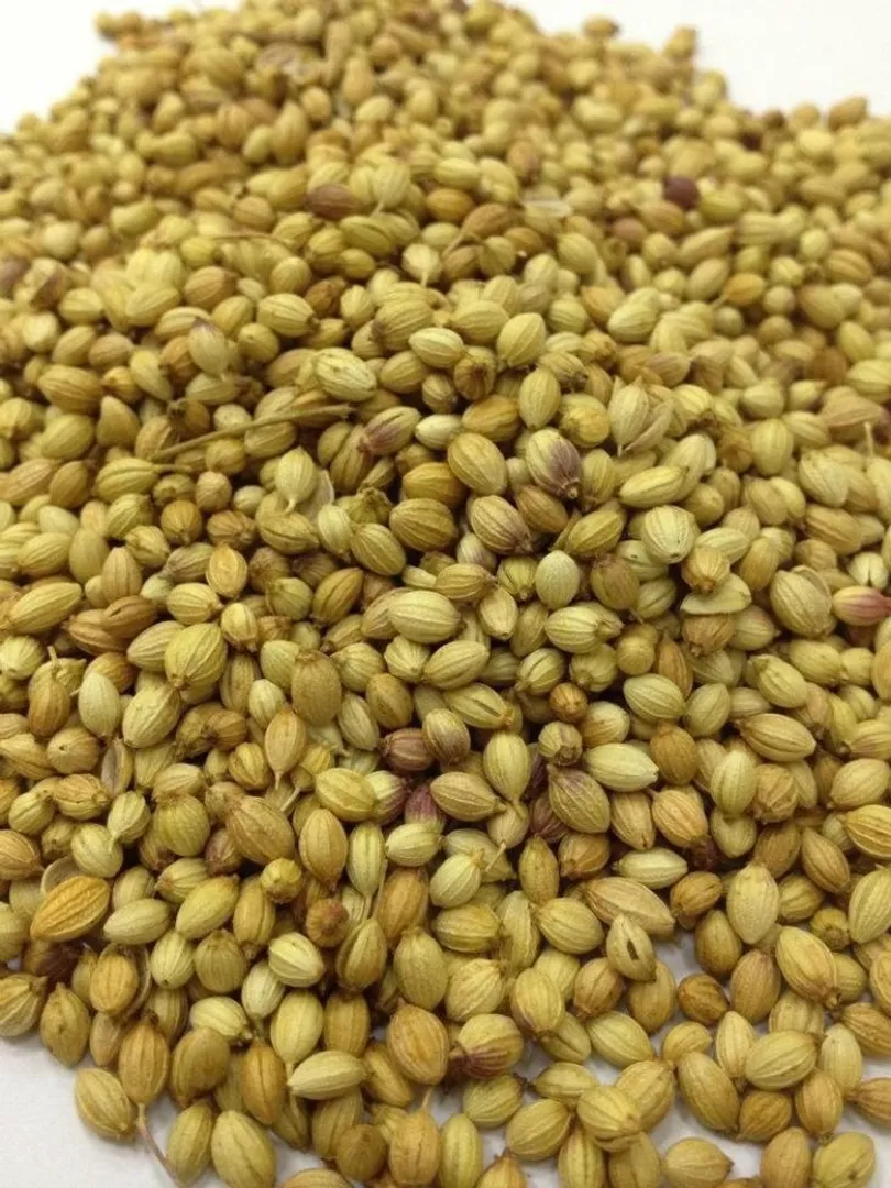 धनिया पानी क्यों माना जाता है फायदेमंद?